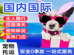 玉龙空运国际宠物托运 【国